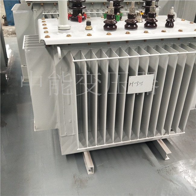 和布克赛尔S20-500KVA油浸式变压器